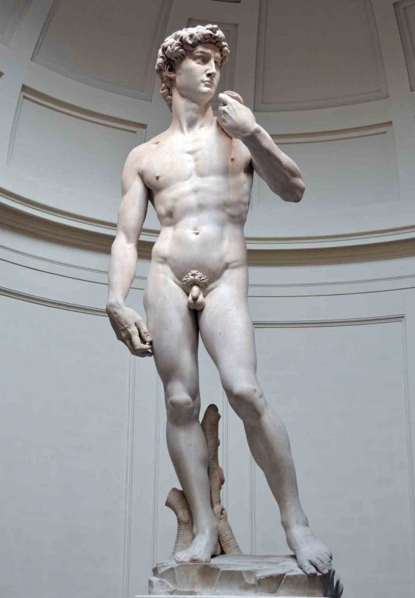 statue of David of Michelangelo, best Florence tour