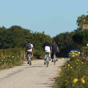 People riding bike during the Tuscany bike tour