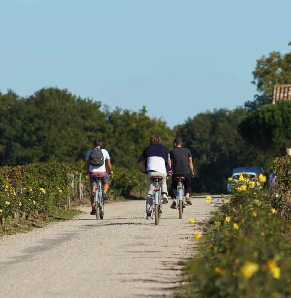 People riding bike during the Tuscany bike tour