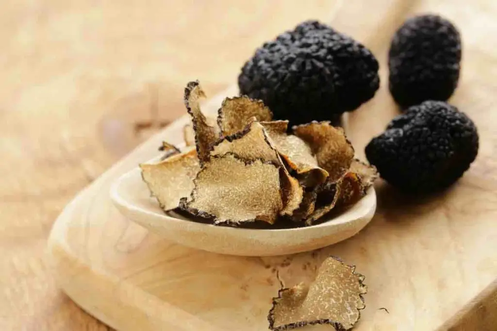 truffle hunting italy