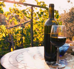 wine tasting in tuscany tour
