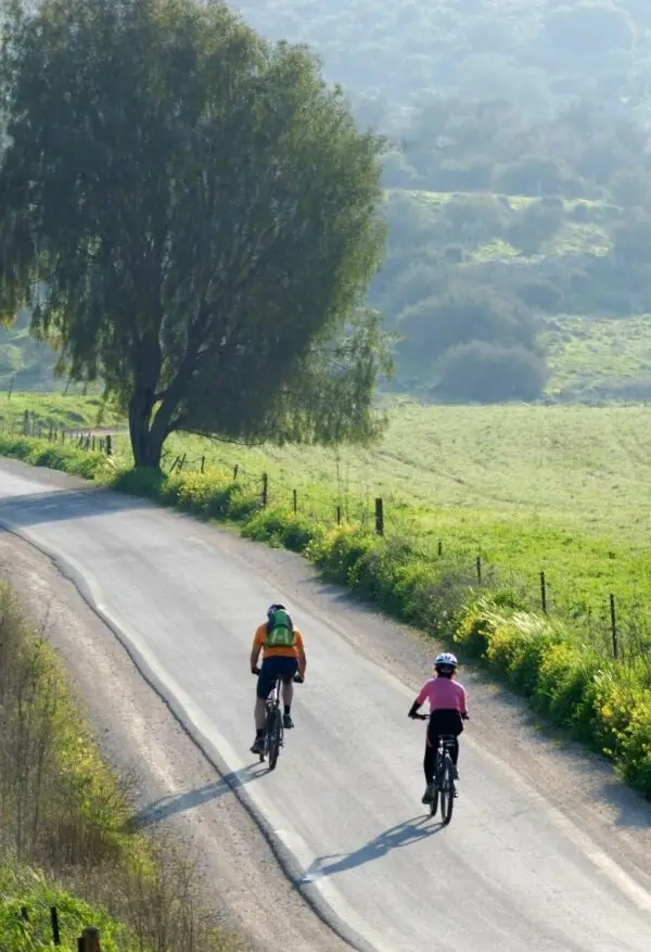 full day bike tour