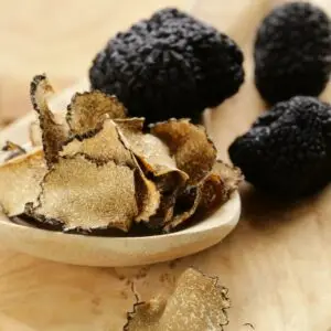 experience a Truffle Hunting in Tuscany Tour