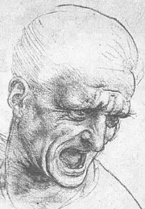 leonardo da vinci sketch