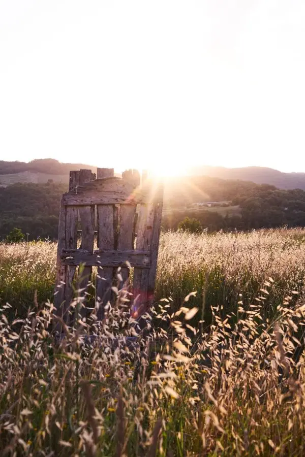 sunset tuscany food tour