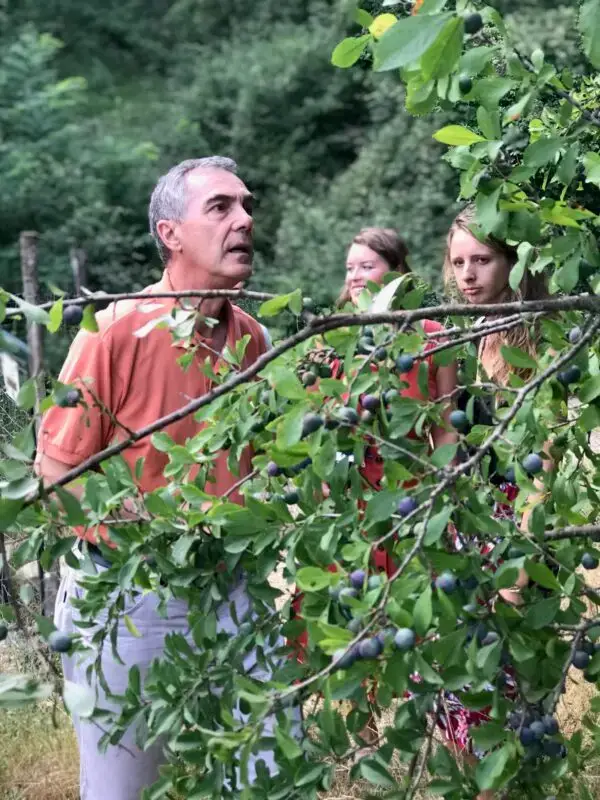 foraging