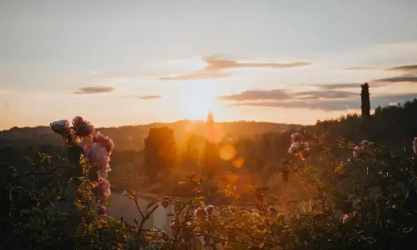 wellness retreat tuscany