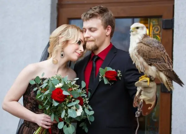romantic proposal in tuscany wings of love