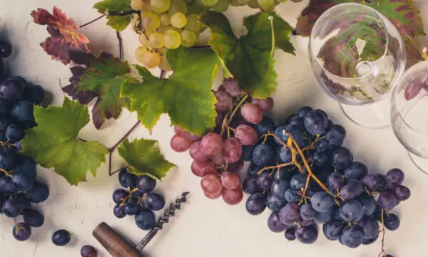 Online Experience: A Historical Gastronomy Experience with Count Capponi