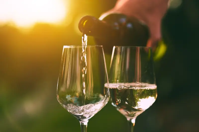 wine experiences in italy