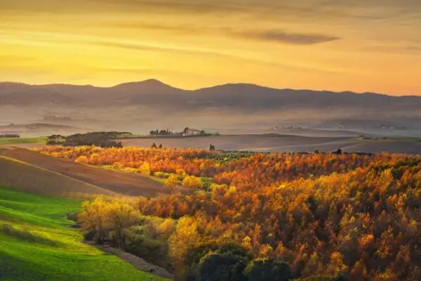 Michelin-Starred Chef at Your Villa in Florence & Tuscany - Image 2