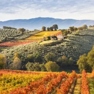 farm to table umbria