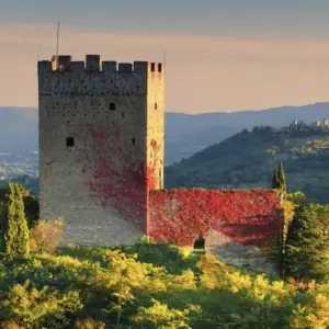 Private Wine Tasting & Gourmet Dinner in a Tuscan Castle or Villa in Tuscany