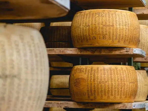 Parma Countryside Gourmet Adventure