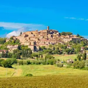 bolgheri tour wine