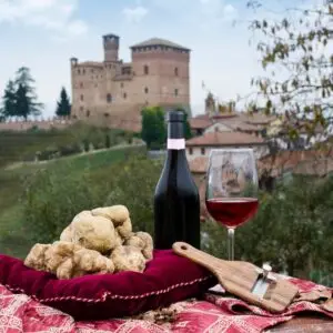 White truffle hunt alba