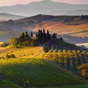 chianti tour