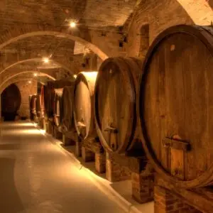 wine journalist tour